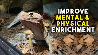 5 EASY Ways To IMPROVE Your LEOPARD GECKO Setup  Tank Enrichment [upl. by Galer]