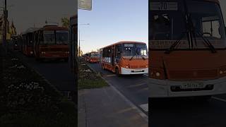 Какой автобус выберешь ты 🔥😃 Парад автобусов в Нижнем Новгороде 🚌🚌🚌 [upl. by Nilyram]