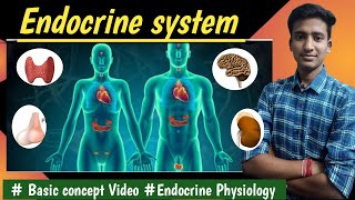 Introduction to Endocrinology Endocrine Physiology  in hindi Ashish Agrawal [upl. by Ahsen]