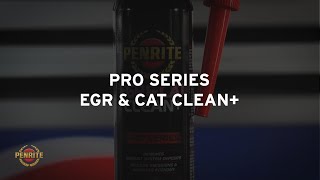 Penrite Pro Series EGR amp CAT Clean [upl. by Anidualc]