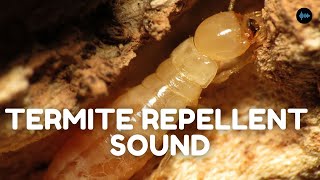 Termite Repellent Sound [upl. by Olaf194]