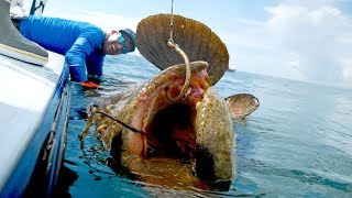 Caught a Monster Grouper that Weighed MORE than the BOAT [upl. by Meek943]