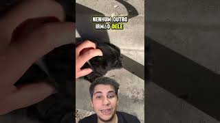 ‼️QUE PERIGO‼️ pets caes react cachorro remix animaisdeestimação animaisengraçados cao dog [upl. by Hsirt]