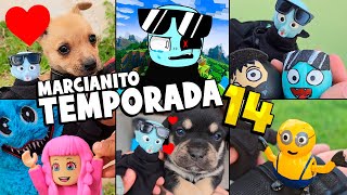 TEMPORADA 14 🤩 MARCIANITO y sus AMIGOS 👻 funny viral compilation shorts humor animales memes [upl. by Stag]