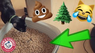 How To Use Arm and Hammer Sifting Litter Box with Pine Pellets [upl. by Orabel]