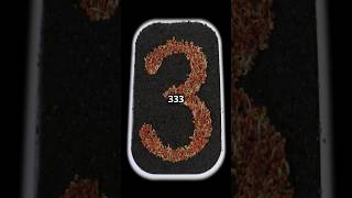 The Power of 333 What Does Seeing This Number Mean angelnumbers 333 spiritual [upl. by Elohc]