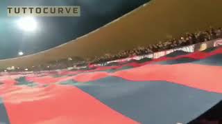 Il tifo del Cosenza [upl. by Adnavoj]