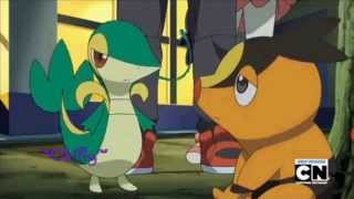 Snivy X Tepig AMV Raindrops Encore Une Fois [upl. by Pesvoh]