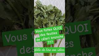 Jen fais quoi Céleri branche recette [upl. by Cloe]