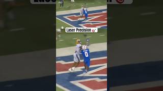 Perfect Throw 🎯 Nate Yarnell’s 13Yard TD to Kenny Johnson  Pittsburgh vs SMU [upl. by Kosey]