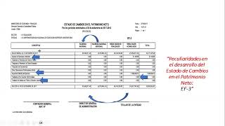 Elaboración Práctica del EF3 Estado de Cambios en el Patrimonio Neto [upl. by Tavis]