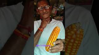 APSA80 ka best in makka maize crop [upl. by Aray707]