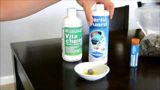 Fish tips with Vitamins Picky eaters or Internal Parasite treatment [upl. by Ng101]