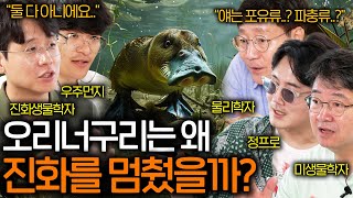 생물학계에서 가장 미스터리한 어디에도 속하지 않는 수상한 동물  과학을 보다 EP79 [upl. by Nnylarej]