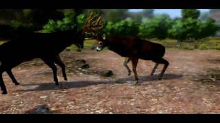 Cabelas Outdoor Adventures 2010  Walkthrough HD  Kansas 4 [upl. by Montano183]