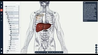 Programme im Unterricht Biodigital zur Erforschung von AnatomieBiologie [upl. by Leta295]