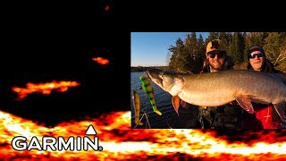 LiveScope Musky Jigging Garmin Panoptix [upl. by Genny]