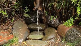 Termas Cañon del Blanco [upl. by Amiaj]