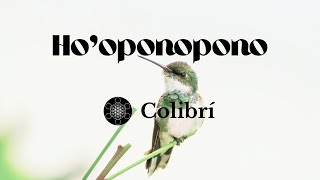 Hooponopono para abundancia Colibrí [upl. by Immot]