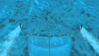 How Seafood is Caught Bottom Trawling [upl. by Saunders818]