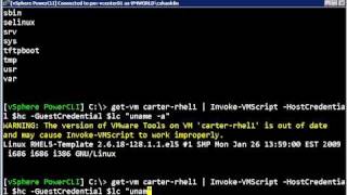 InvokeVMscript Improvements in PowerCLI 40 U1 [upl. by Brote913]