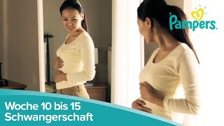 Schwangerschaftswoche 10 bis 15  Anzeichen und Symptome  Pampers [upl. by Benedic]