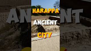 quotHarappa Revealed Secrets of an Ancient Civilizationquot Harappa Stories P2 shortsfeed shorts [upl. by Rojam]