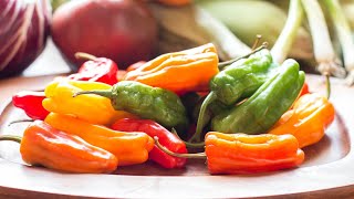 Blistered Shishito Peppers Recipe [upl. by Ridley]