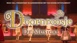 Doornroosje de sprookjesmusical [upl. by Yajeet]