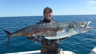 My Biggest Spanish Mackerel Outrunning a Cyclone 74 pounds 345kg [upl. by Donaghue]