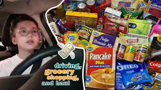 DRIVING GROCERY SHOPPING and HAUL  Philippines [upl. by Hilleary]