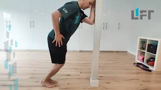 Bent knee heel raise level 2  eccentric calf raise for soleus and tibialis posterior strength [upl. by Nagel]