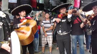 chile mariachis joaquin zamora [upl. by Ahtnamys662]