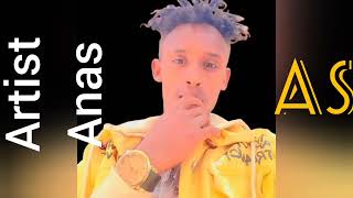 Shaggooyyee new oromo music koo yaa ibsituutoo Artis Anas Aliyyii 2024 [upl. by Trepur652]