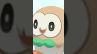 rowlet walking Yup thats it pokemon [upl. by Roda]