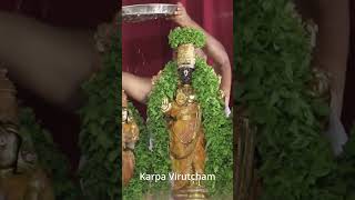 Vlog 112  Wednesday Triplicane Sri Parthasarathy Perumal Darshanam shorts ytshorts [upl. by Rabelais359]