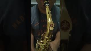 Zé da Timba e Zé Latinha  Cover Sax  ALL THE MOUNTAINS ARE HIGH [upl. by Nonarb73]