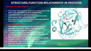 Chymotrypsin a proteolytic enzyme [upl. by Carney]