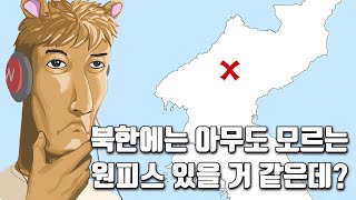 북한에는 아무도 모르는 원피스가 숨겨져 있지 않을까 [upl. by Buck]