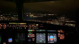 AIRBUS A320 cockpit LANDING AT NIGHT Strasbourg Airport  Cockpit view  Life Of An Airline Pilot [upl. by Leonidas]