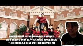 ENHYPEN TAMED DASHED OFFICIAL MV amp TAMED DASHED COMEBACK LIVE REACTION [upl. by Anhavas790]