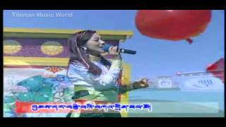 Tsewang Lhamo 2014  Pha Lo Ma Lo ཕ་ལོ་མ་ལོ། [upl. by Leuamme]