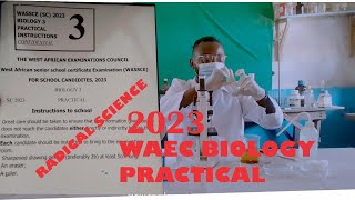 2024 WAEC BIOLOGY PRACTICAL specimen and solutions Sure way Hit it once💪 [upl. by Alehc675]