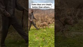 Some days are better simply then others 😂😵😒 shorts viral funny [upl. by Aneehsirk]