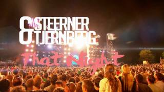 Steerner amp Tjernberg Silhouette  That Night Original Mix [upl. by Deryl]