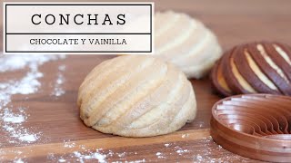 Como hacer conchas de chocolate y vainilla receta fácil Pan dulce de MexMundo [upl. by Nwatna]