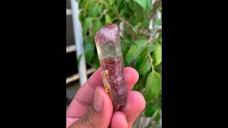 Bicolor TourmalineCrystal  PaprokTourmaline  TourmalineSpecimen  FineMineral [upl. by Shwalb]