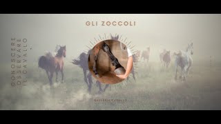 ♘ Cavalli  Gli Zoccoli [upl. by Babs890]