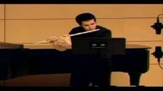 Hindemith Flute Sonata Movement One [upl. by Daeriam]