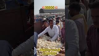 CHHABRA MANDI chhabra kota rajsthan streetfood farming farmer youtube [upl. by Nosna]